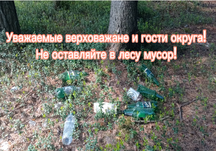 Субботник по уборке леса в заречной части села Верховажья. Субботник по уборке леса в заречной части села Верховажья.