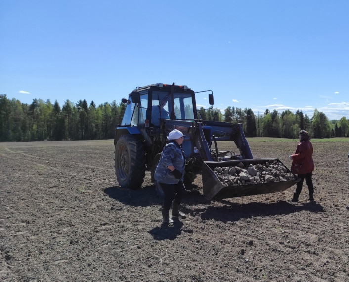 Посевные работы в Вологодской области планируют завершить к началу июня.