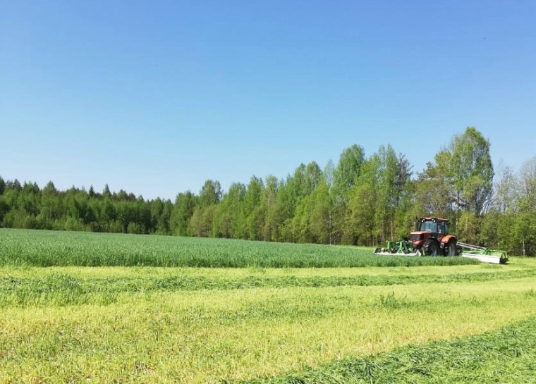 На 10 июня в округе был скошен 431 гектар многолетних трав.